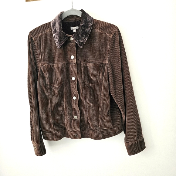 J. Jill Corduroy Button Down Jacket with Velvet Collar - Picture 12 of 12